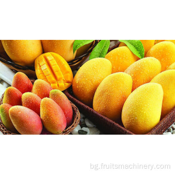 Производствена линия за опаковане на сок от манго